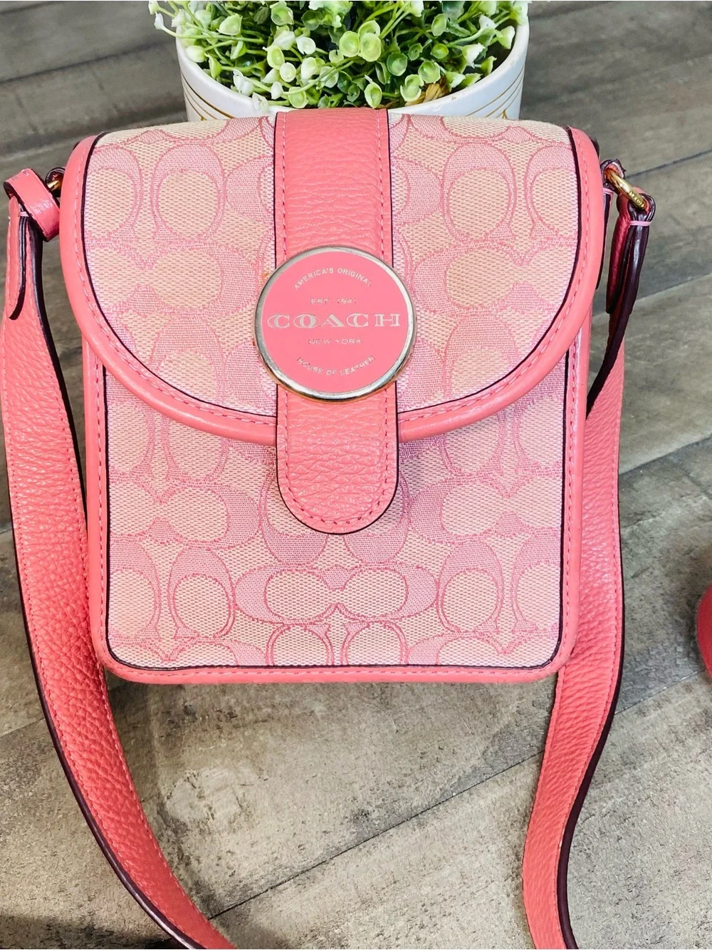 Coach Lonnie North South Crossbody Bag Pink Signature Jacquard Pebble Leather